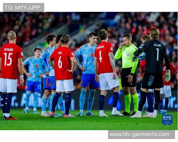 2020欧预赛瑞典与挪威激战回顾双方精彩表现与赛后分析